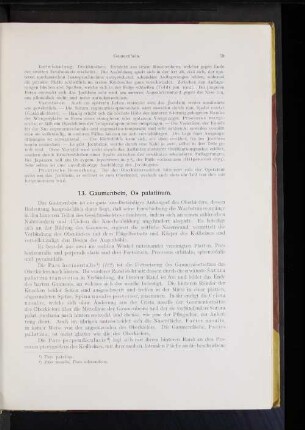 13. Gaumenbein, Os palatinum.