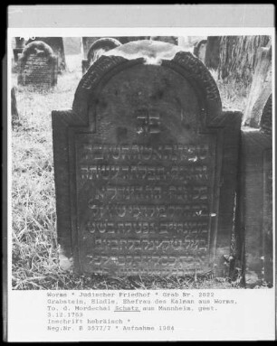 Grabstein von Hindle, Tochter des Mordechai Schatz aus Mannheim, Ehefrau des Kalman aus Worms (gestorben 1763.12.03)