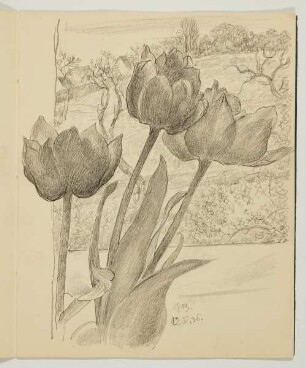Tulpen vor Fenster
