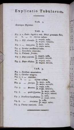 Explicatio Tabularum.