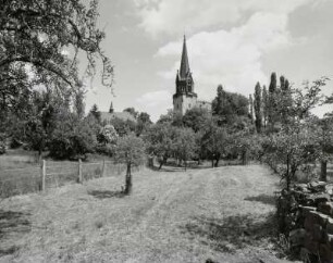 Streuobstwiese südlich von Pfarrhaus und Friedenskirche in Altkötzschenbroda