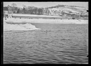 Schwimmer im teilweise zugefrorenen Main