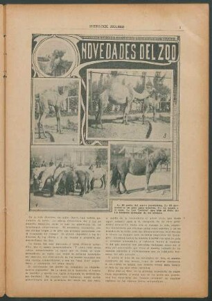 Novedades del Zoo