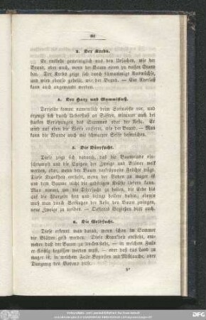 6. Die Gelbsucht.