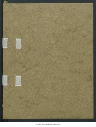 Amerikabriefe : Sonderabdruck aus der Düsseldorfer Zeitung Jahrgang 1912 und 1913