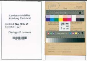 Entnazifizierung Johanna Dieninghoff , geb. 15.05.1913 (Fuersorgerin)