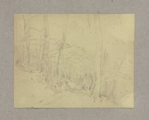 Waldweg