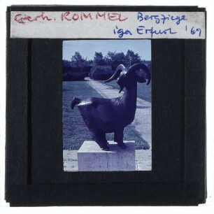 Rommel, Befreiung
