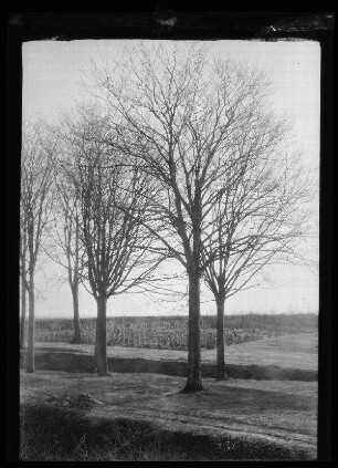 Friedhof Thourout (= Torhout, Bez. Brügge, Belgien)