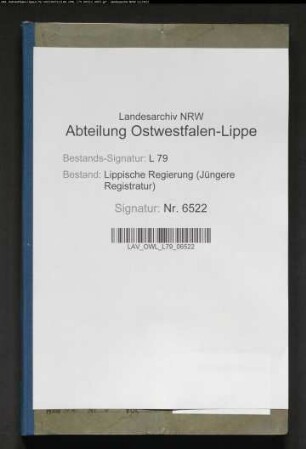 Aufwandsentschädigungen an Familien für in Reichsheer, Marine und Schutztruppen eingestellte Söhne (Allgemeines)