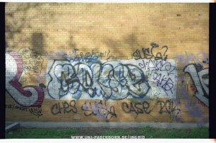 CHeS
