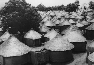 Village Sénouto près de Korhogo