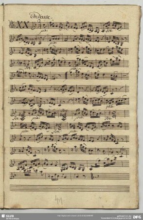 20. Anonymus, Andante, F-Dur