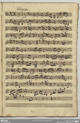 20. Anonymus, Andante, F-Dur