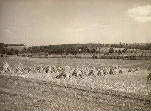 Zschopautal. Rechte Diluvialterrasse der Frankenberger Zschopauta-Weitung und Schilfteich vom Fahrweg Frankenberg - Merzdorf