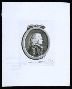 Linné, Carl von