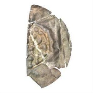 Fundmünze, Brakteat, 1230 - 1250