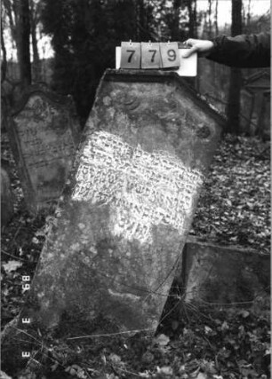 Grabstein 779 (Index: 99751554) Material: Sandstein Zustand: stark verwitt/Tauben fast völl. abgeblätt Maße HxBxT: 128x54x14 cm Beschreibung: Stele, giebelartiger Abschluß Symbolik: Blüte, Herz, Tauben: Grabstein 779