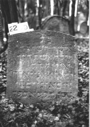 Grabstein 2289