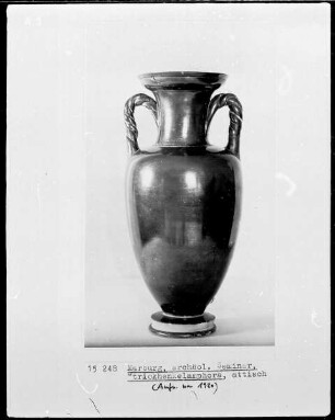 Amphora
