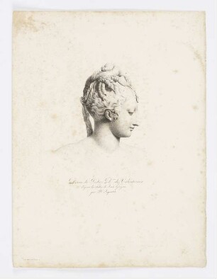 Diane de Poitier Duchesse de Valentinois