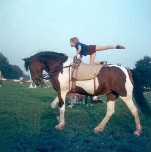 Voltrigieren. Element "Fahne"
