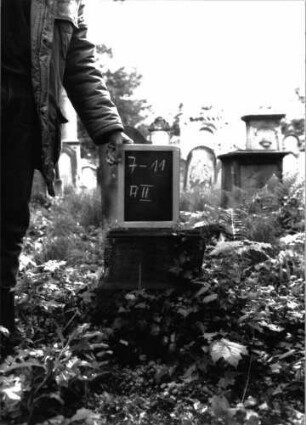 Grabstein A II/7/11