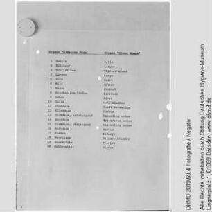 Liste für technische Unterlagen - "Organe Gläserne Frau Organs Glass Woman"