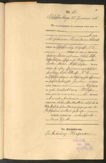 Standesamtsbuch der Stadt Aschaffenburg: Geburten 365/1900 - 184/1901