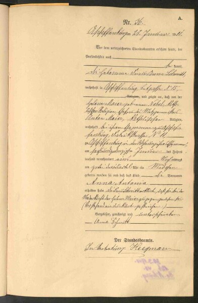 Standesamtsbuch der Stadt Aschaffenburg: Geburten 365/1900 - 184/1901