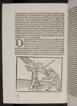 Die gefräßige Schlange wird erschlagen; (Kapitel II: Von dem Löwen und dem Ochsen).