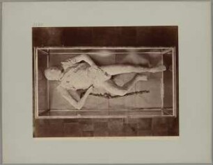 Pompei: (Museo) Cadavere d'uomo, No. 5573