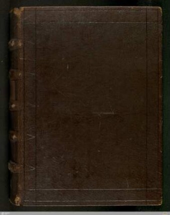 Das buch Belial genant