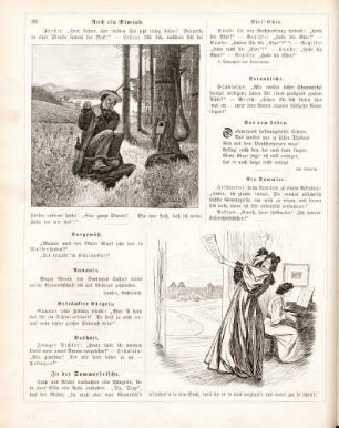 "Auch ein Nimrod" "In der Sommerfrische"