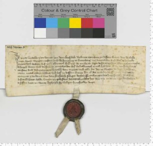 Yutte, Witwe des Pardem van dem Knesbeke, bekennt, dass der Lüneburger Rat ihr die zu Weihnachten [1426] fälligen 25 Mark Lübisch entrichtet habe.
