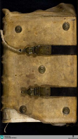Psalterium - Cod. Lichtenthal 37