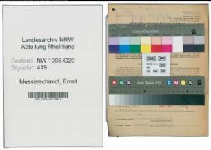 Entnazifizierung Ernst Messerschmidt , geb. 12.06.1894 (Schreiner)