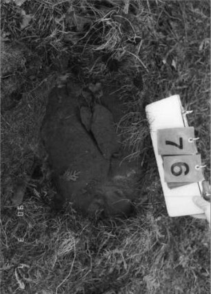 Grabstein 76 (Index: 100089997) Zustand: Fragment Beschreibung: nur Sockel: Grabstein 76