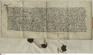 Groß-Karben: Kaufbrief über die von Diederich v. Budecken verkauften Wald zu Groß-Karben und 9/2 Morgen Wiesen daselbst an die Burg Friedberg