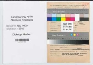 Entnazifizierung Herbert Dickopp, geb. 04.09.1910 (Kaufm.Angest.)