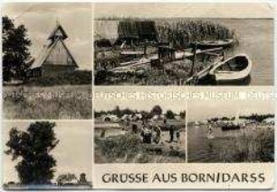 Ansichten aus Born auf dem Darß