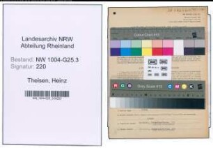 Entnazifizierung Heinz Theisen , geb. 20.05.1911 (Vertreter)