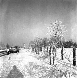 Kreisstraße zwischen Ahrensburg und Hammoor: links am Straßenrand Pkw: rechts Baumreihe: dahinter Zaun: hinten Straßenschild und Häuser: Winter