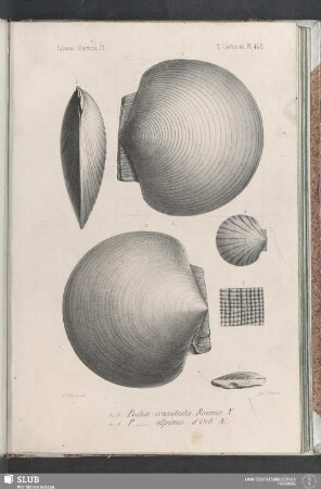 Pl. 430