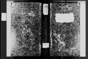 Oberschüpf, evangelische Gemeinde: Standesbuch 1810-1829