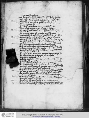 Thomas Cantimpratensis Bonum universale de apibus
