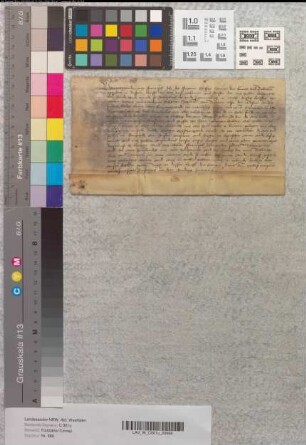 Abt Franz von Corvey belehnt Hermann von Bevern mit einem Meierhof vor Heyen.