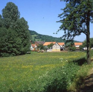 Knüllwald-Reddinghausen (Schwalm-Eder-Kreis). Ortsteilansicht. Blick über eine Wiese