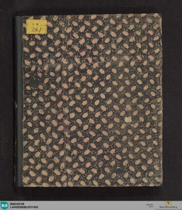Philosophia pars II - Cod. Ettenheim-Münster 261 : Metaphysica. 1. Teil