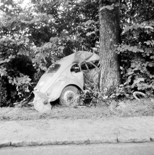 B 75: vor Bargteheide: Verkehrsunfall: Pkw fährt gegen Baum: zerstörter Unfallwagen an Baum, Metallteile: Büsche: davor Fußgängerweg, Straße